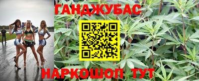 мяу мяу мука Будённовск