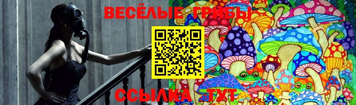 Псилоцибиновые грибы мицелий Нижний Новгород